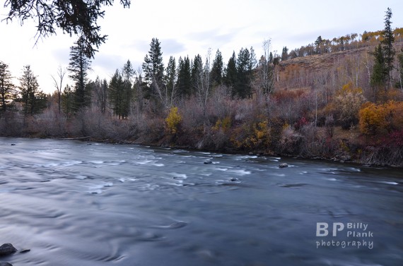 Billy Plank-Fall River smooth-Fall Creek Lodge-Squirrel Idaho