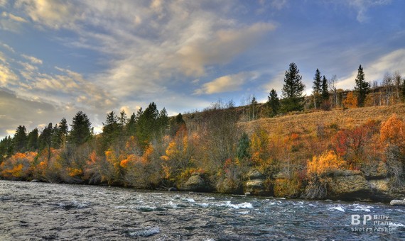 Billy Plank-Fall River-squirrel Idaho- Photomatix HDR