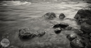 Kate Anderson, black and white, nature, landscape