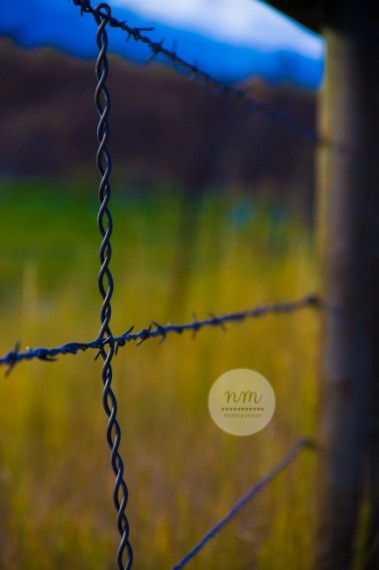 NicoleNugent-Fine-Art-Idaho-Photography-Bokeh-Cherries-Barn-Foliage-Landscape-Sunset-Pumpkin28webe-433x650